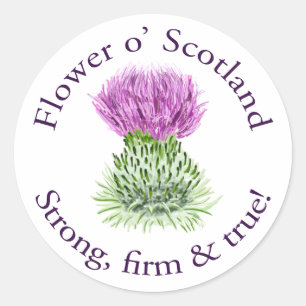 Blume von Schottland. Stark, fest und wahr! Runder Aufkleber