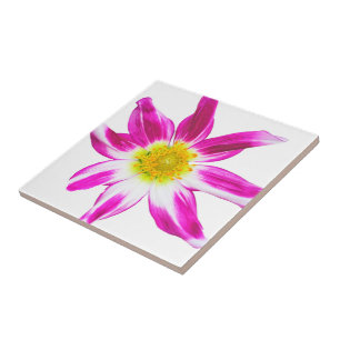 BLUME VON Singles IN MAGENTA, WEISS UND GOLD (FOTO Fliese