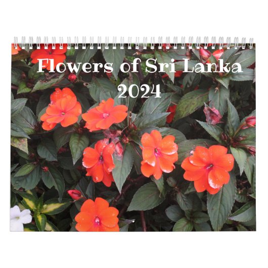Blume von Sri Lanka - Kalender 2024 (Titelbild)