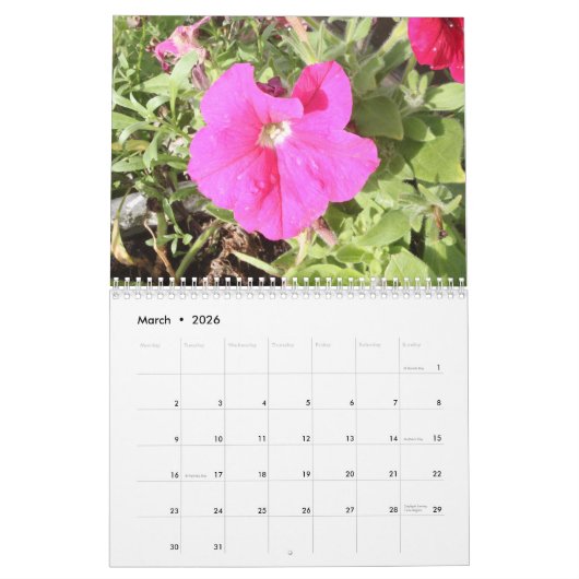 Blume von Sri Lanka - Kalender 2024 (Mär 2026)