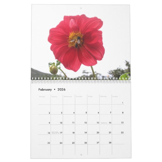 Blume von Sri Lanka - Kalender 2024 (Feb 2026)