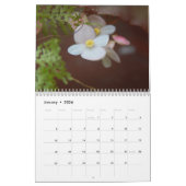 Blume von Sri Lanka - Kalender 2024 (Jan 2026)