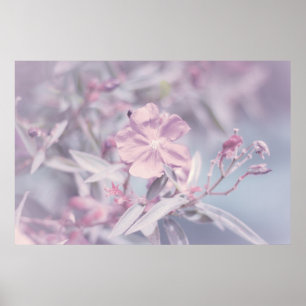Blume von weichem Pastel Poster