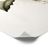 Blume von White Primrose Art Print Poster (Ecke)