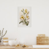 Blume von White Primrose Art Print Poster (Küche)