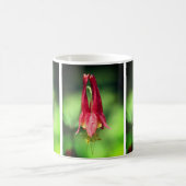 Blume von Wild Red Columbine Kaffeetasse (Mittel)
