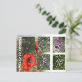 Blume von Zyrusfrüchten nach Behandlung Postkarte (Stehend Vorderseite)