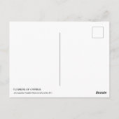 Blume von Zyrusfrüchten nach Behandlung Postkarte (Rückseite)