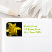 Blume Wales (Insitu)