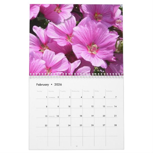 Blume-Wall-Kalender Kalender (Feb 2026)
