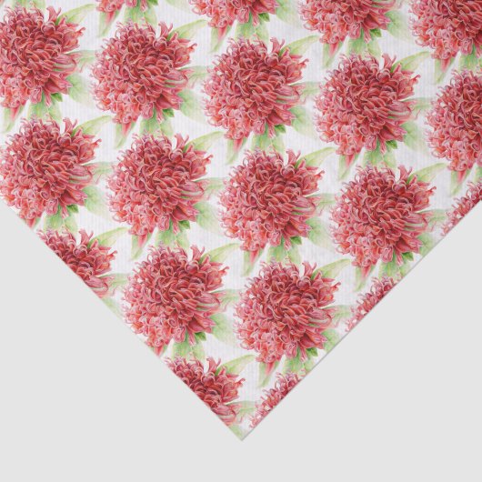 Blume Waratah Aquarell rotes botanisches Gewebepap Seidenpapier (Ausschnitt)