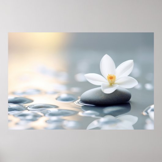 Blume Wasser Tropfen Natur Ruhe Poster (Vorne)