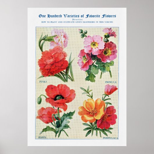 Blume Wasserfarbe 3 Poster (Vorne)