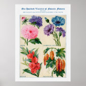 Blume Wasserfarbe Poster (Vorne)