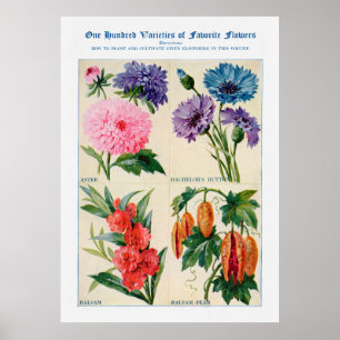 Blume Wasserfarbe Poster