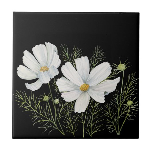 Blume Wasserfarbe Weißer Kosmos Botanische Malerei Fliese (Vorderseite)