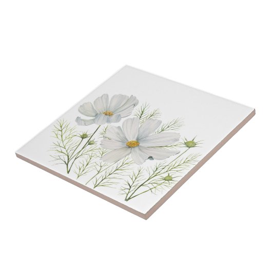 Blume Wasserfarbe Weißer Kosmos Botanische Malerei Fliese (Seite)