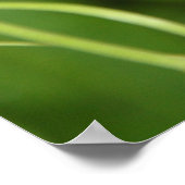 Blume Wedding Bell Poster (Ecke)