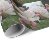 Blume weiß/rosa geschenkpapier (Rolleneckpunkt)