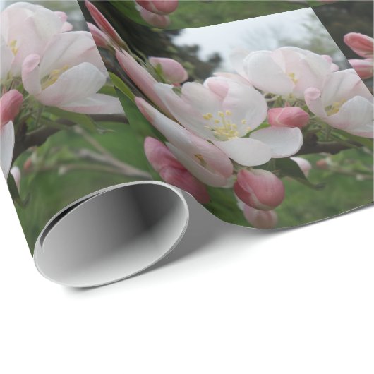 Blume weiß/rosa geschenkpapier (Rolleneckpunkt)