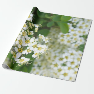 Blume, weiße Pflanze, malerische Landschaft, Geschenkpapier