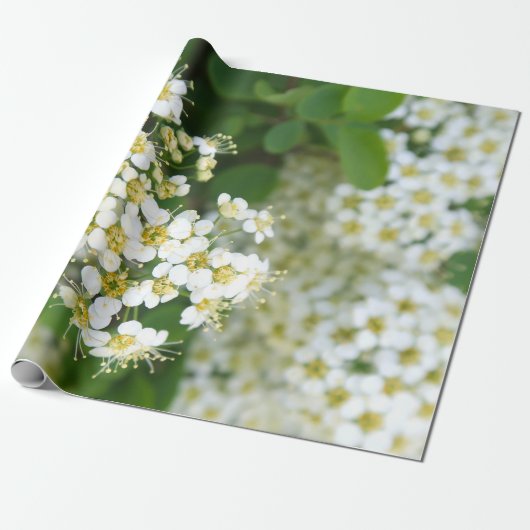 Blume, weiße Pflanze, malerische Landschaft, Geschenkpapier (Ungerollt)
