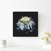 Blume | Weißer Chrysanthemum Quadratische Wanduhr (Zuhause)