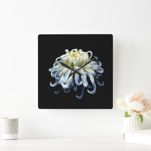 Blume | Weißer Chrysanthemum Quadratische Wanduhr (Zuhause)