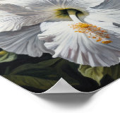 Blume Weißer Hibiskus Art Print Poster (Ecke)