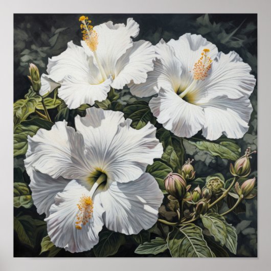 Blume Weißer Hibiskus Art Print Poster (Vorne)