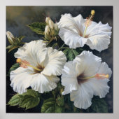 Blume Weißer Hibiskus Art Print Poster (Vorne)