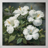 Blume Weißer Hibiskus Art Print Poster (Vorne)