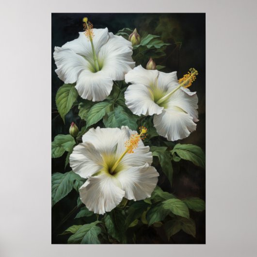 Blume Weißer Hibiskus Art Print Poster (Vorne)
