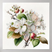 Blume Weißes Apfel Blüten Kunst Plakat drucken (Vorne)