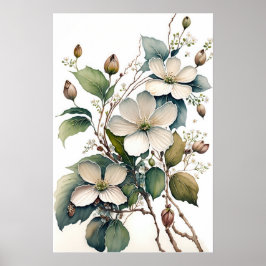 Blume Weißes Dogwood Art Plakat drucken