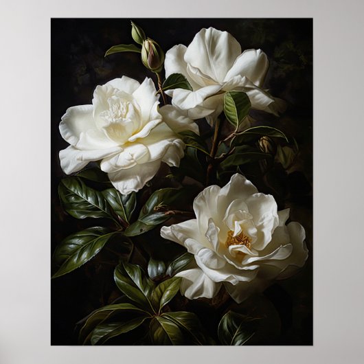 Blume Weißes Grödnerland Art Print Poster (Vorne)