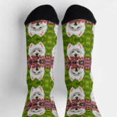Blume Westie und Pink Socken (Oben)