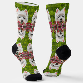 Blume Westie und Pink Socken