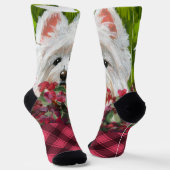 Blume Westie und Pink Socken (Gewinkelt)
