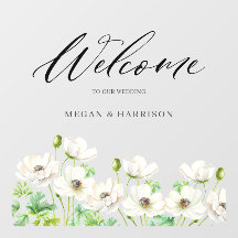 Blume White Anemone Willkommen