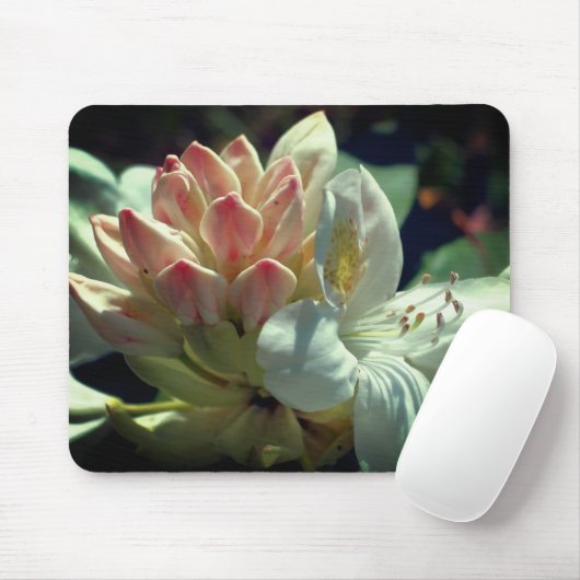 Blume White Azalea Mousepad (Mit Mouse)