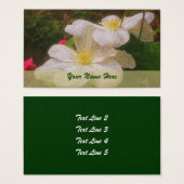 Blume White Clematis Art (Vorne & Hinten)