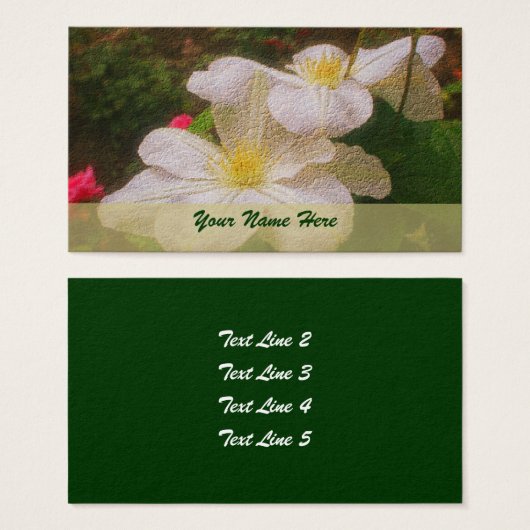 Blume White Clematis Art (Vorne & Hinten)