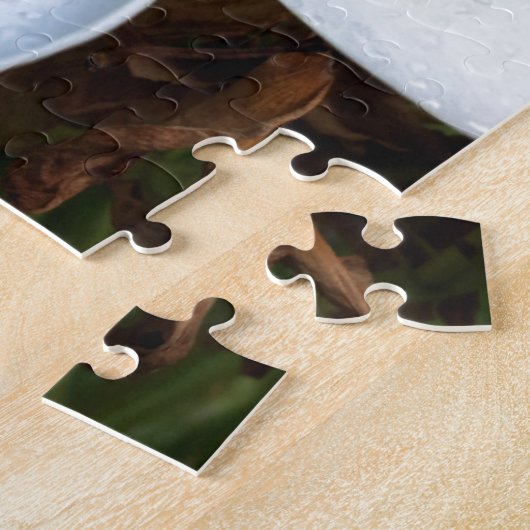 Blume White Hawaii Plumeria Puzzle (Seite)