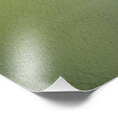 Blume White Magnolia Fotodruck (Ecke)