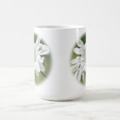 Blume White Magnolia Kaffeetasse (Mittel)