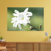 Blume White Magnolia Leinwanddruck (Insitu (Wohnzimmer))