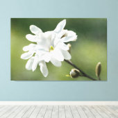 Blume White Magnolia Leinwanddruck (Insitu (Holzboden))