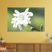 Blume White Magnolia Leinwanddruck (Insitu (Wohnzimmer))