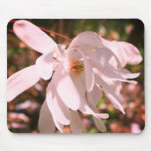 Blume White Magnolia Mousepad (Vorne)